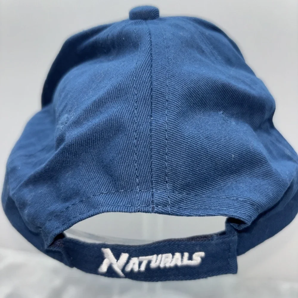 Northwest Arkansas Naturals Trucker Hat Cap Snapback Adjustable Minor League